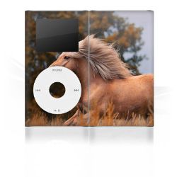 Foils for Smartphones glossy