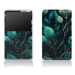 Eukalyptus dunkler Hintergrund