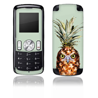 Pineapple Owl