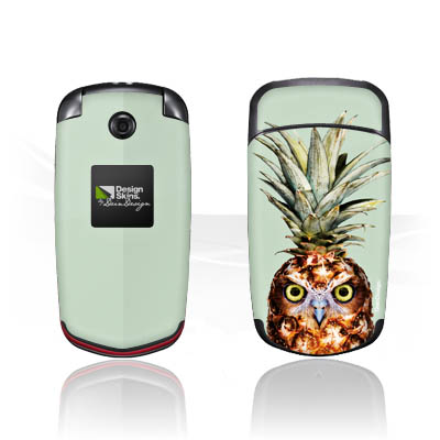 Hibou de l'ananas