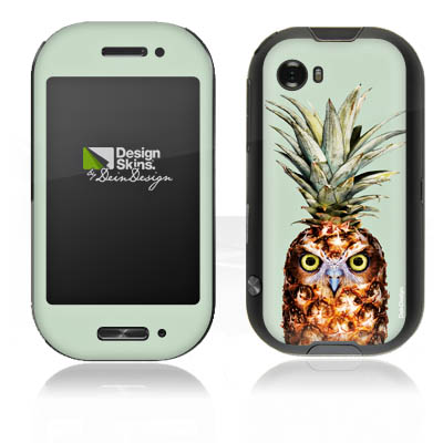 Hibou de l'ananas