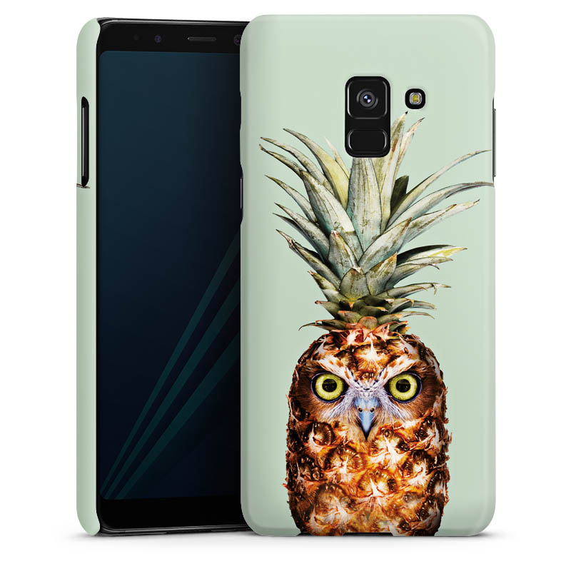 Hibou de l'ananas