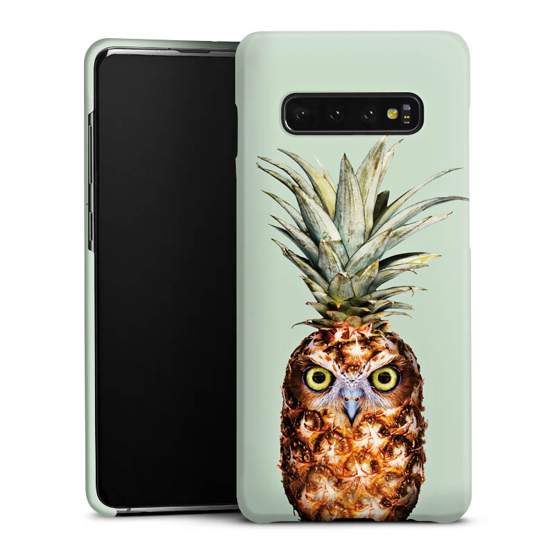 Hibou de l'ananas