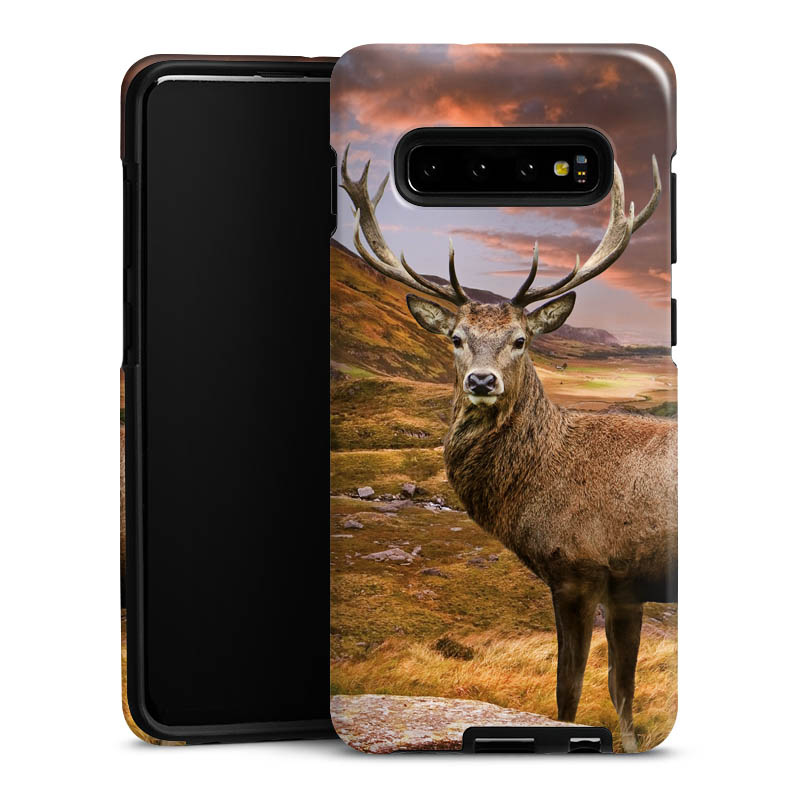 Toughcase hoesje
