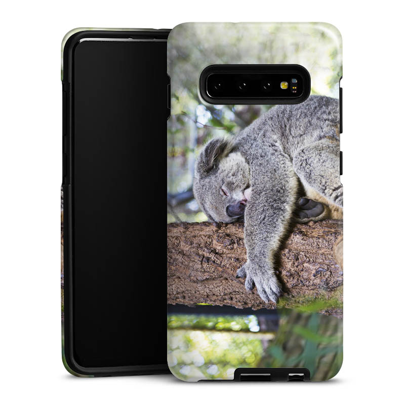 Coque renforcée