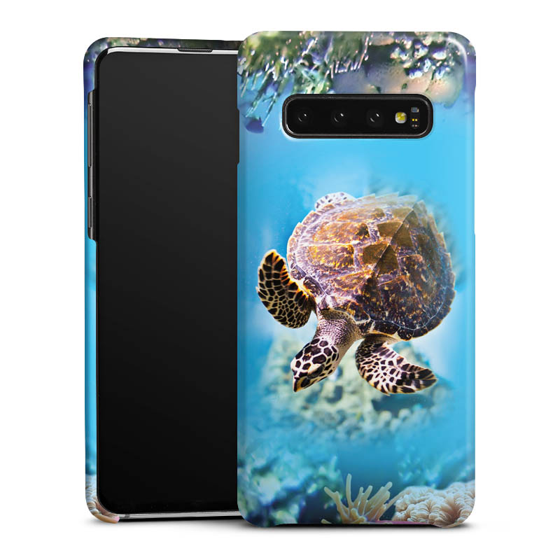Premium hoesje