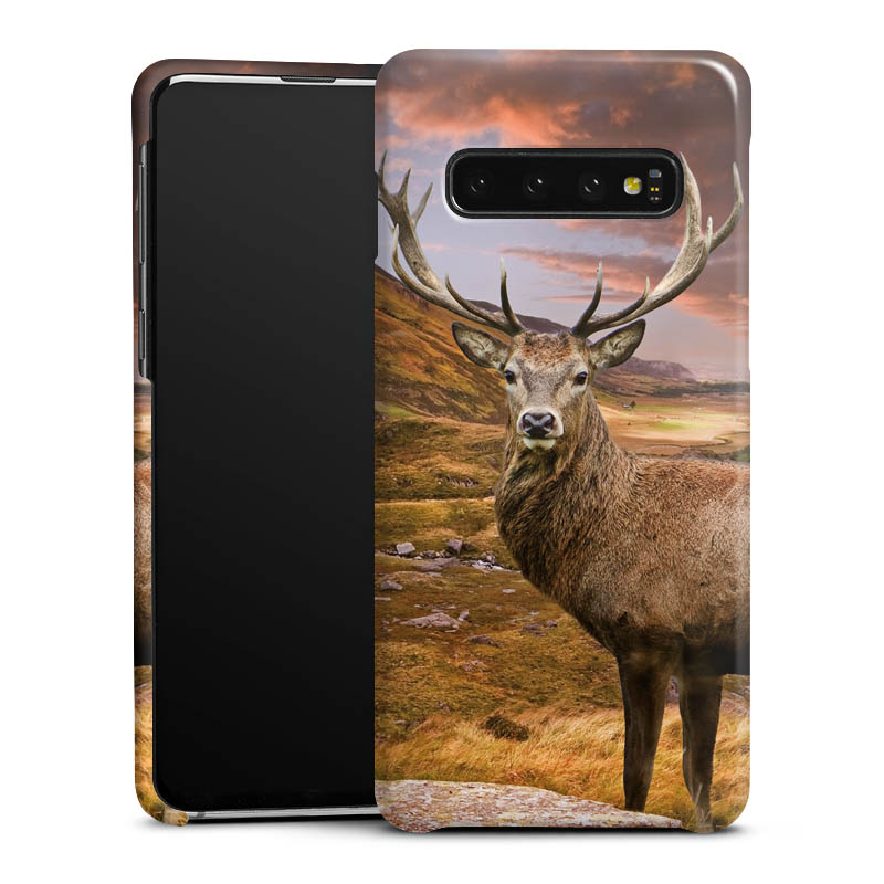 Coque Premium
