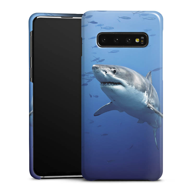 Cover Premium