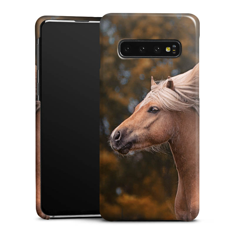 Coque Premium