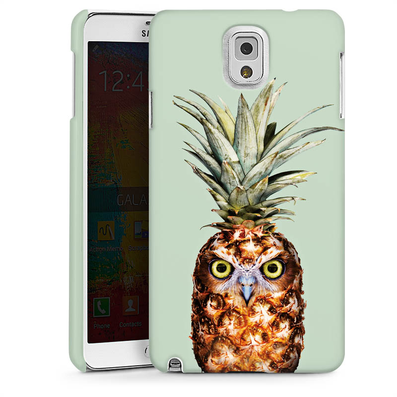 Hibou de l'ananas