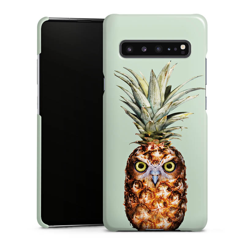 Hibou de l'ananas