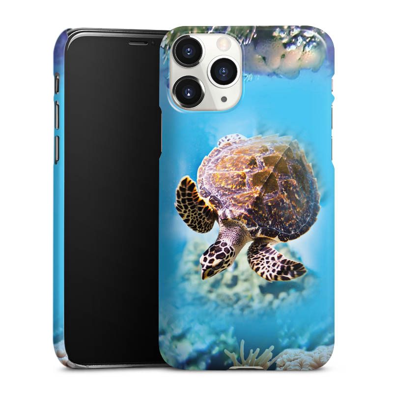Coque Premium