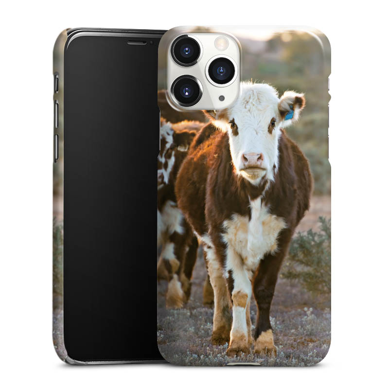 Coque Premium