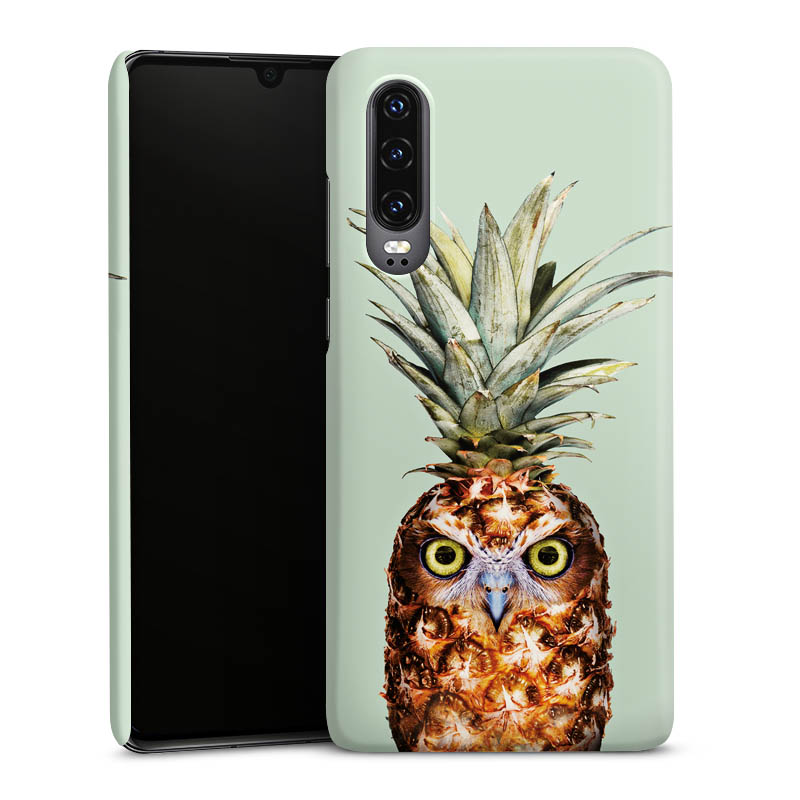 Pineapple Owl