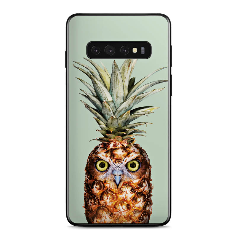 Pineapple Owl