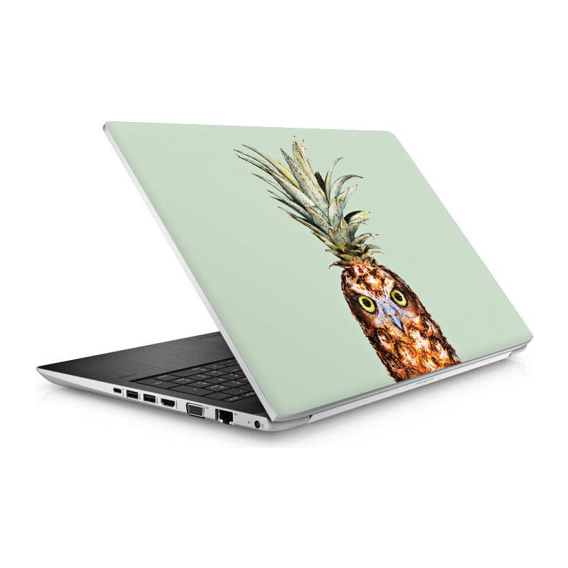 Hibou de l'ananas