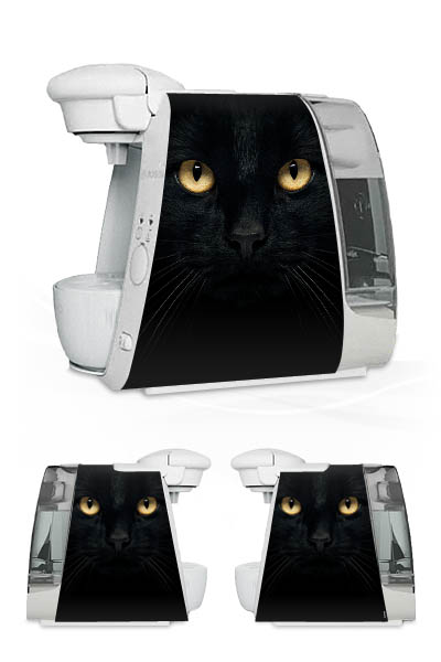 Tom Cat