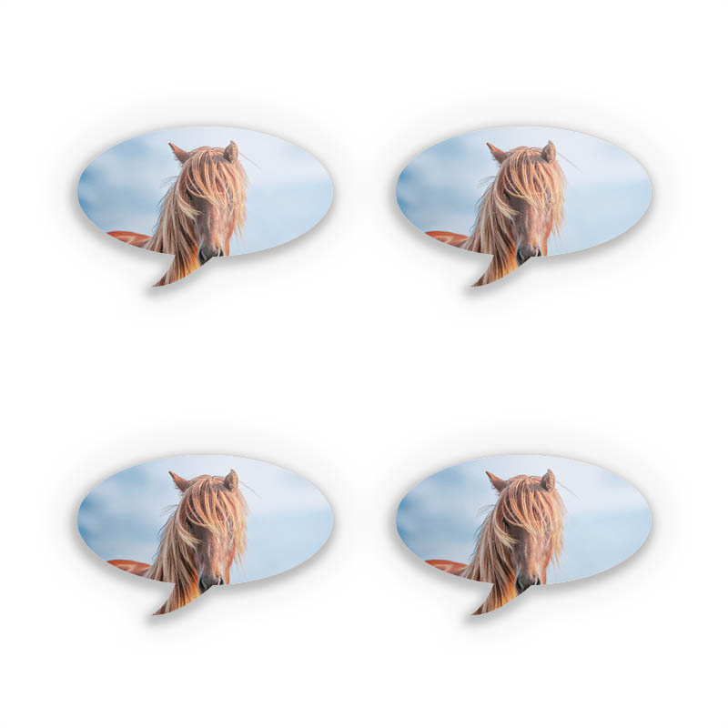 Isländer
