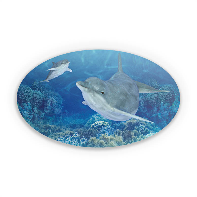 Happy Dolphins