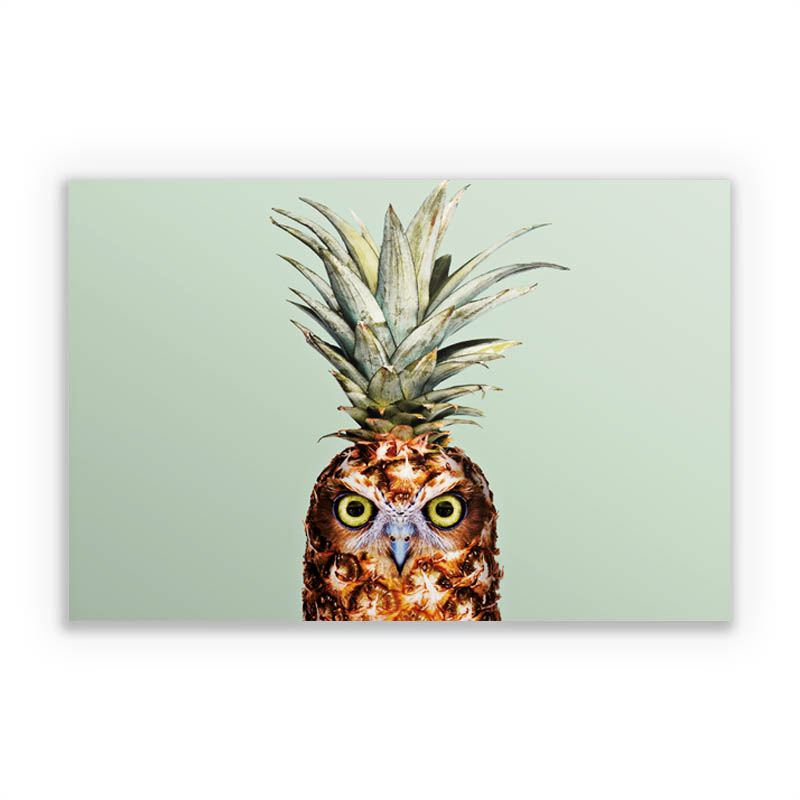 Hibou de l'ananas