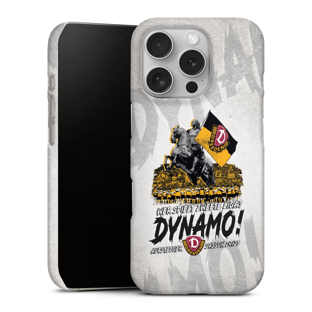 Dynamo Dresden Aufstieg 24/25 Grau