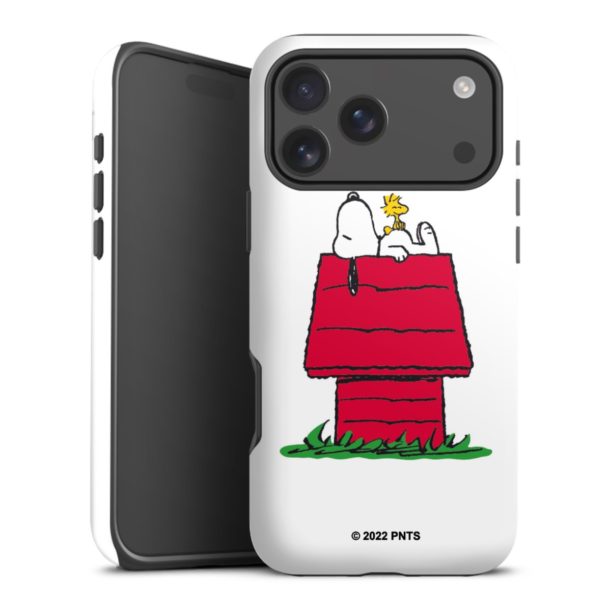 Snoopy and Woodstock Klassisch