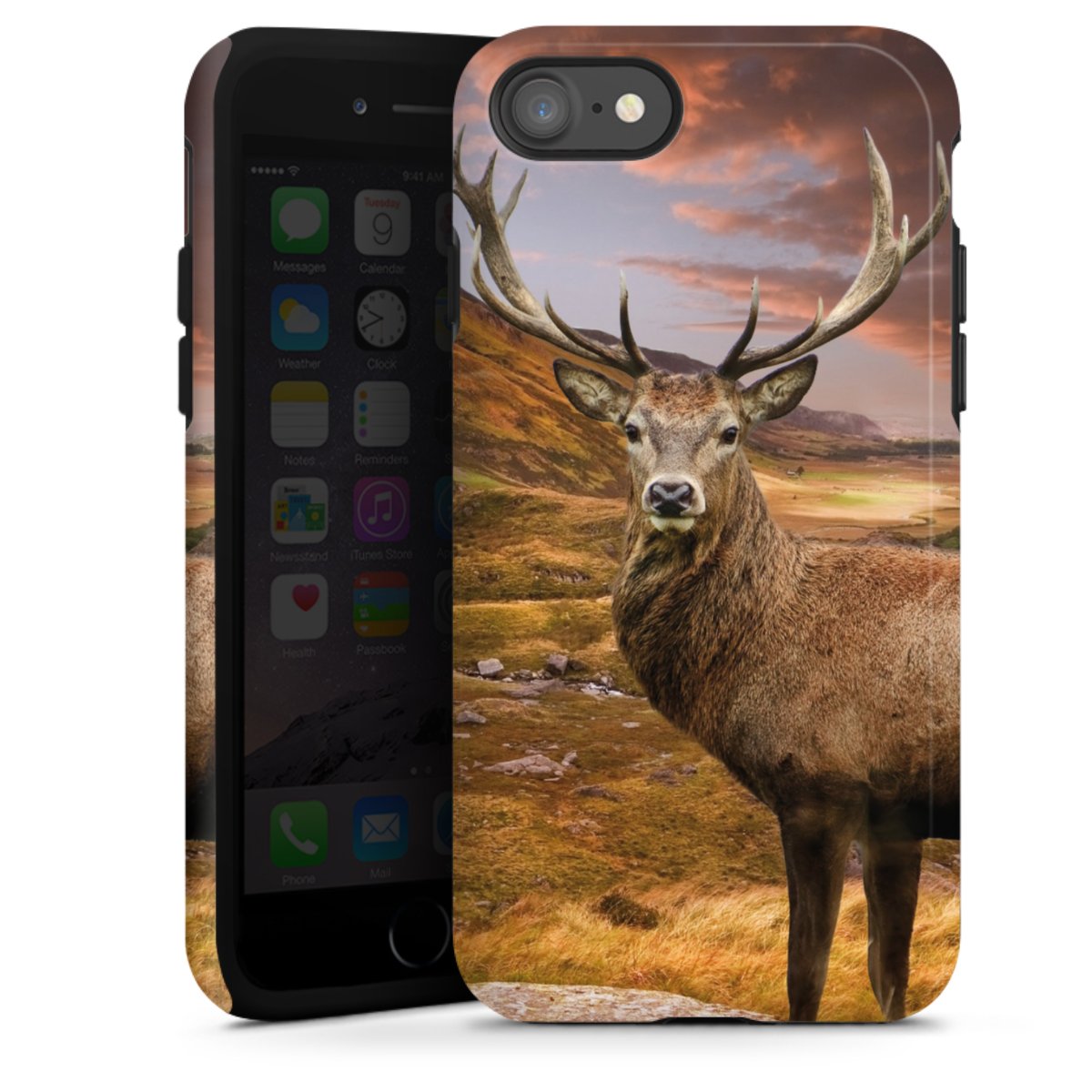 Cover rinforzata