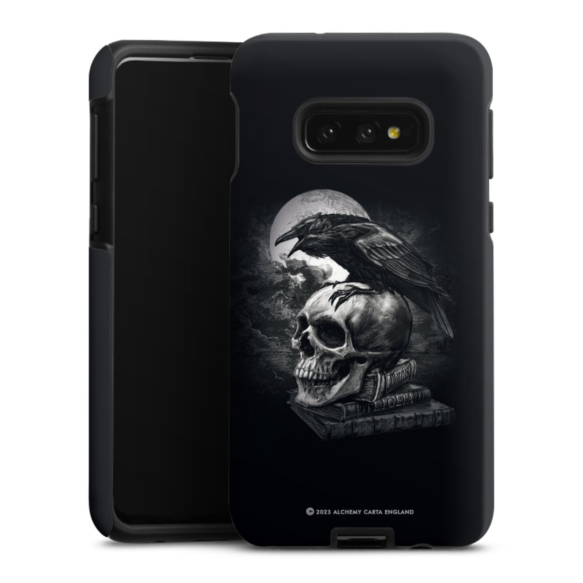 Poe's Raven