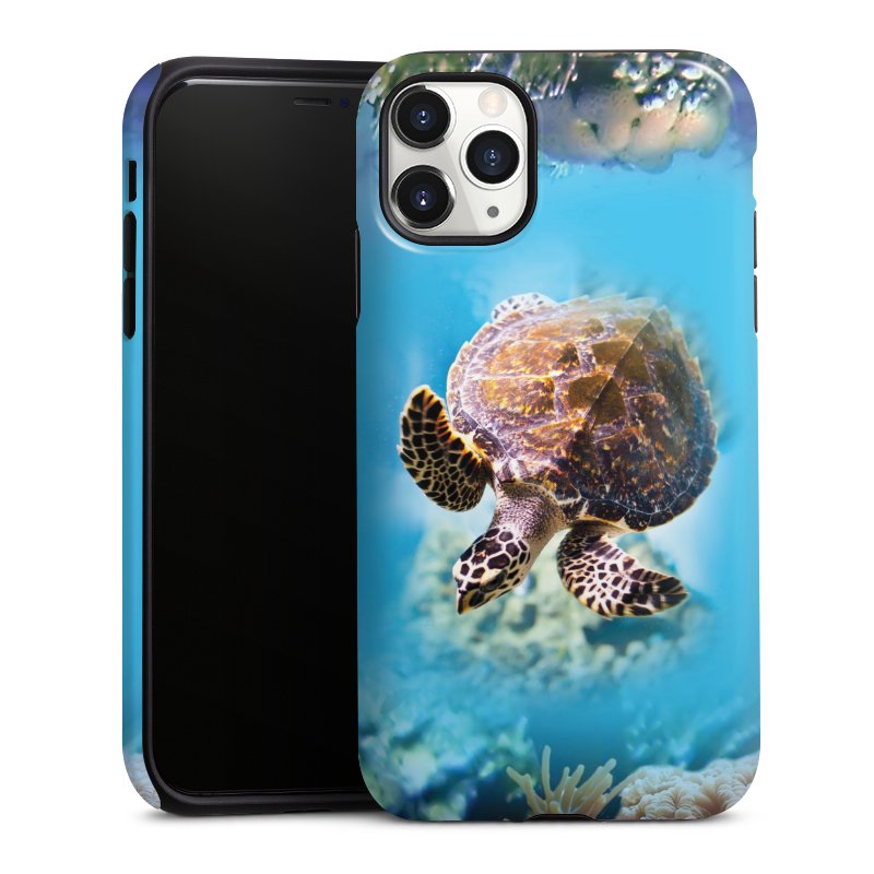 Coque renforcée