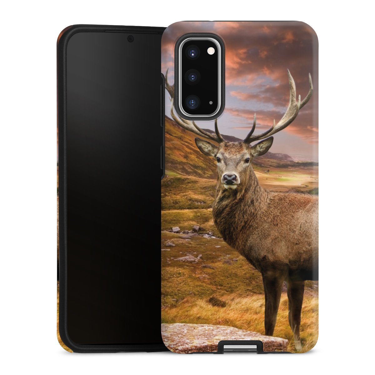 Coque renforcée
