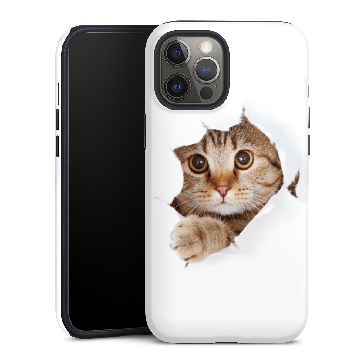 Coque renforcée