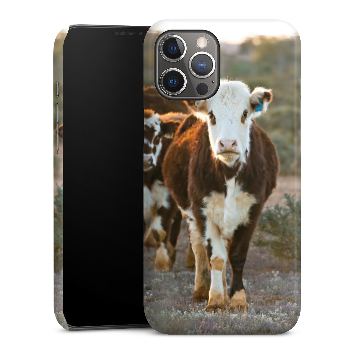 Cover Premium
