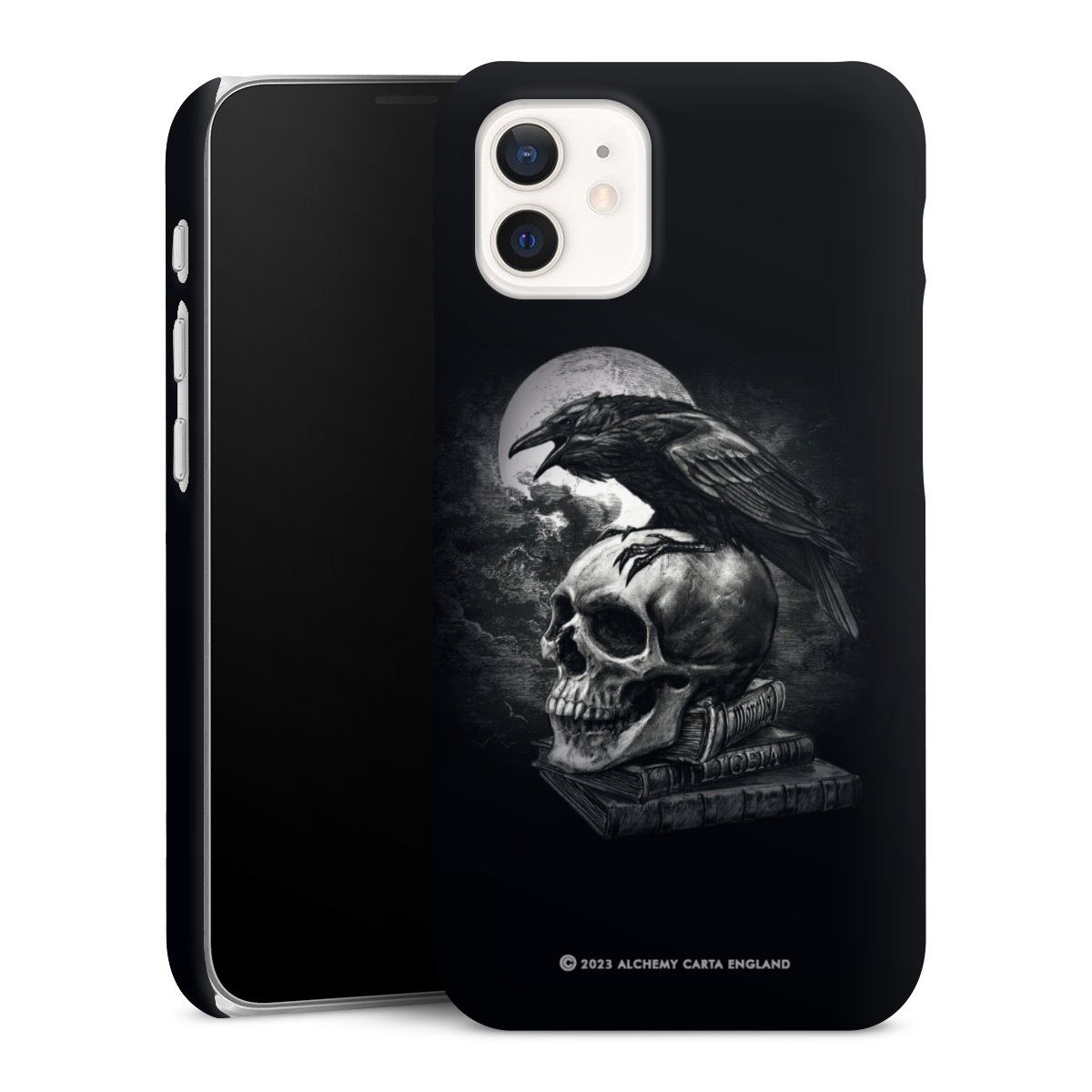 Poe's Raven