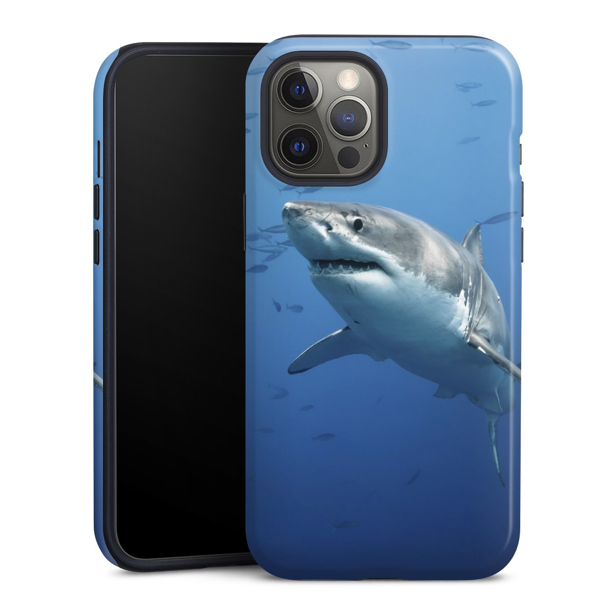 Coque renforcée