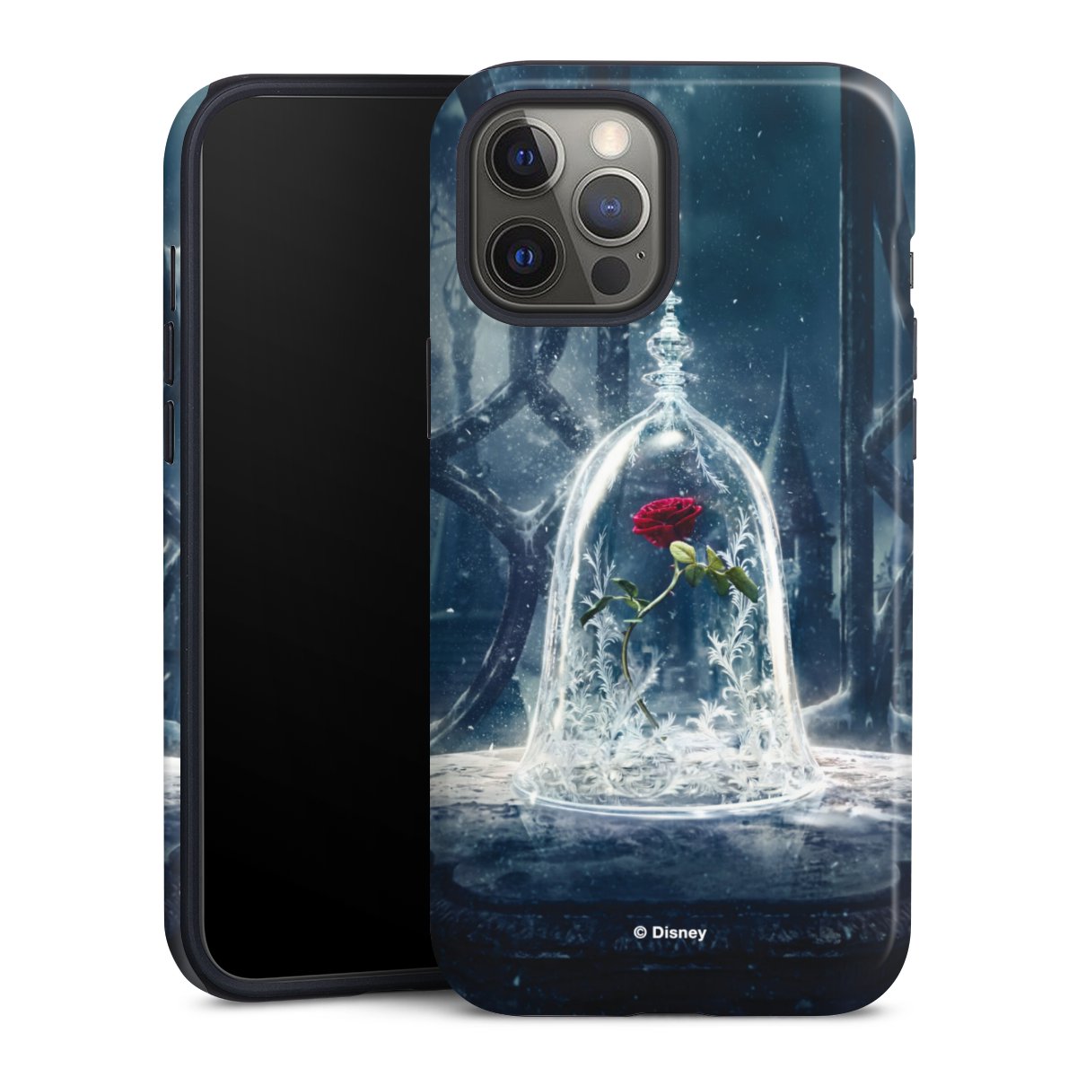 Coque renforcée
