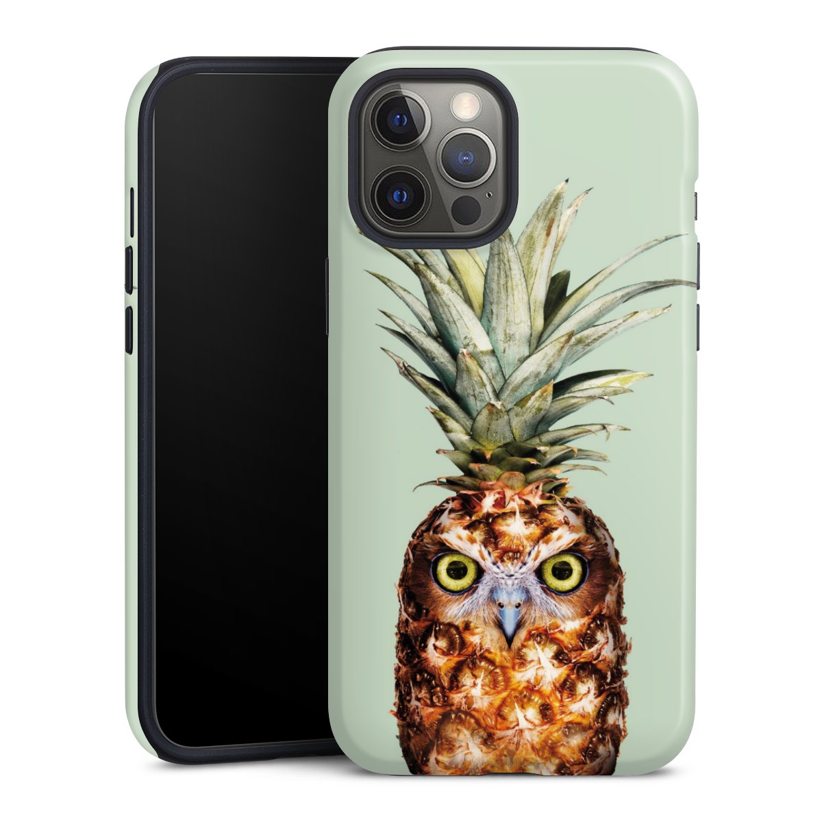 Hibou de l'ananas