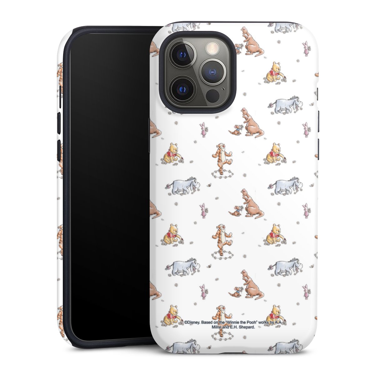 Coque renforcée