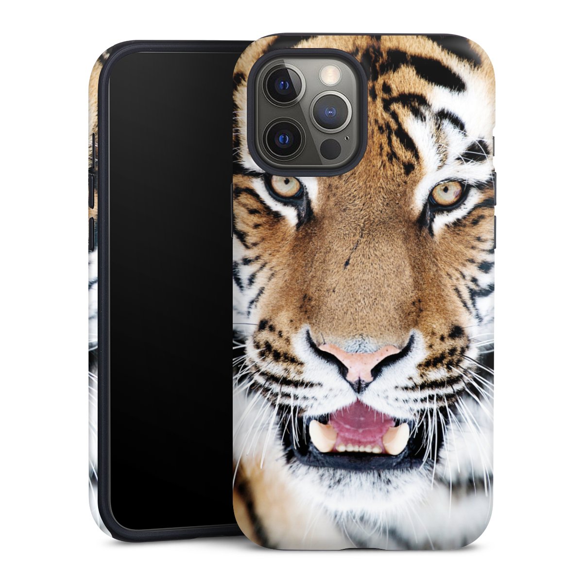 Coque renforcée
