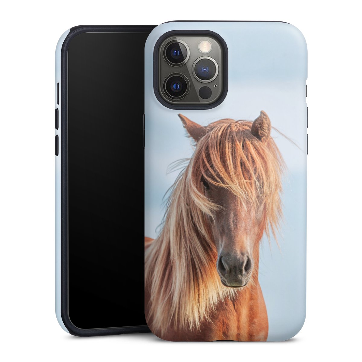 Coque renforcée