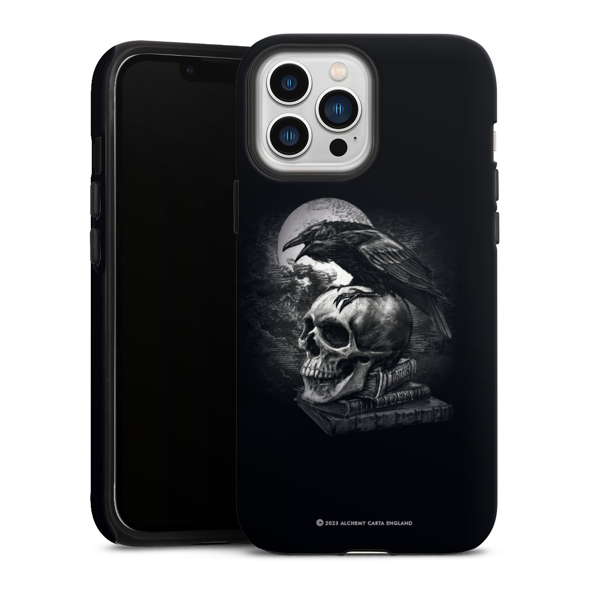 Poe's Raven