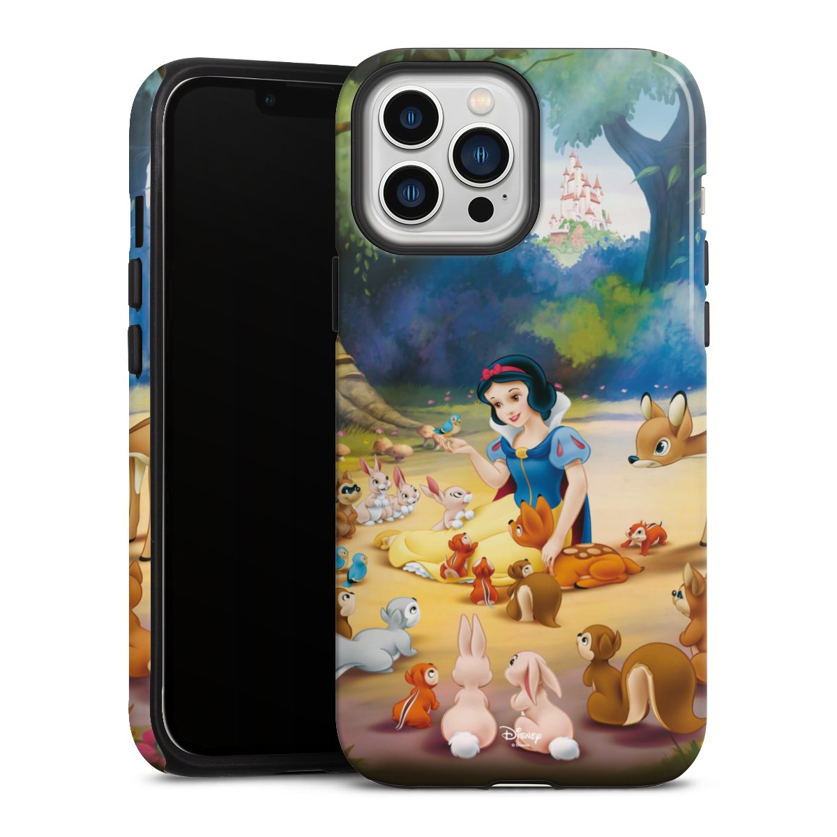Coque renforcée
