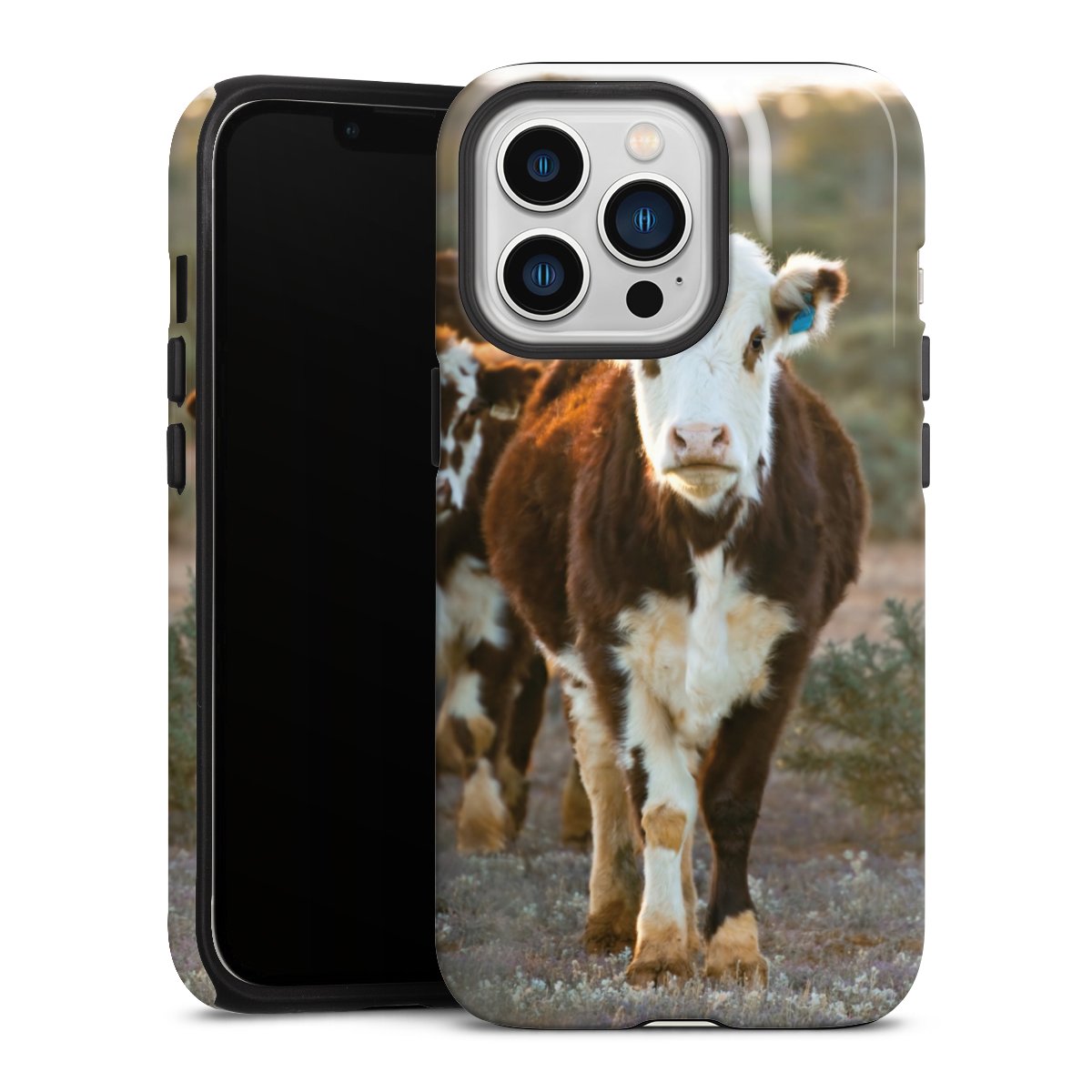 Coque renforcée