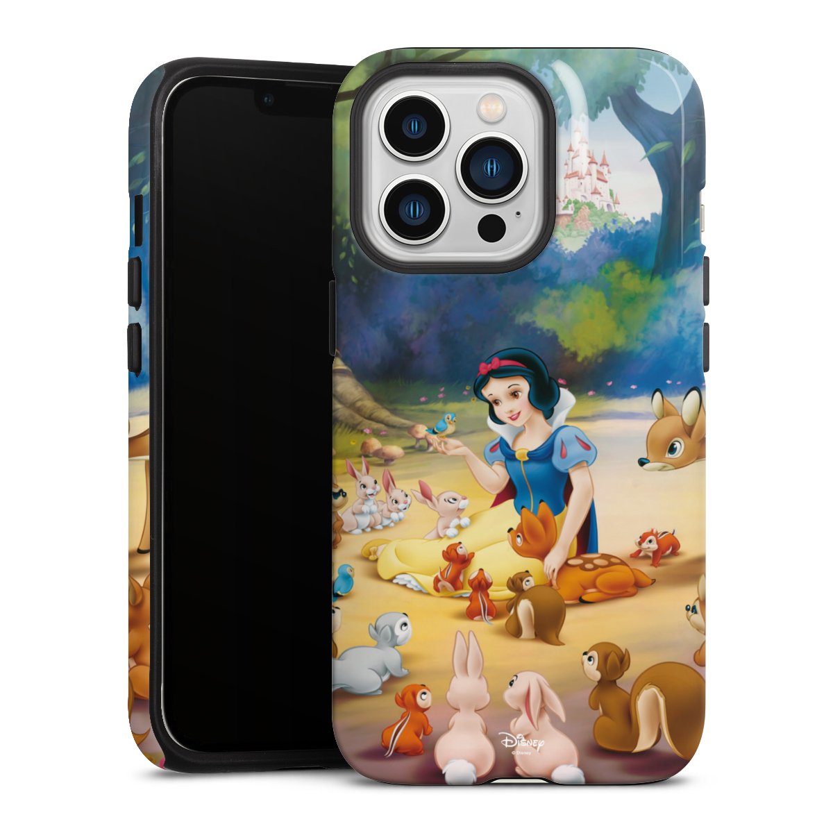Coque renforcée