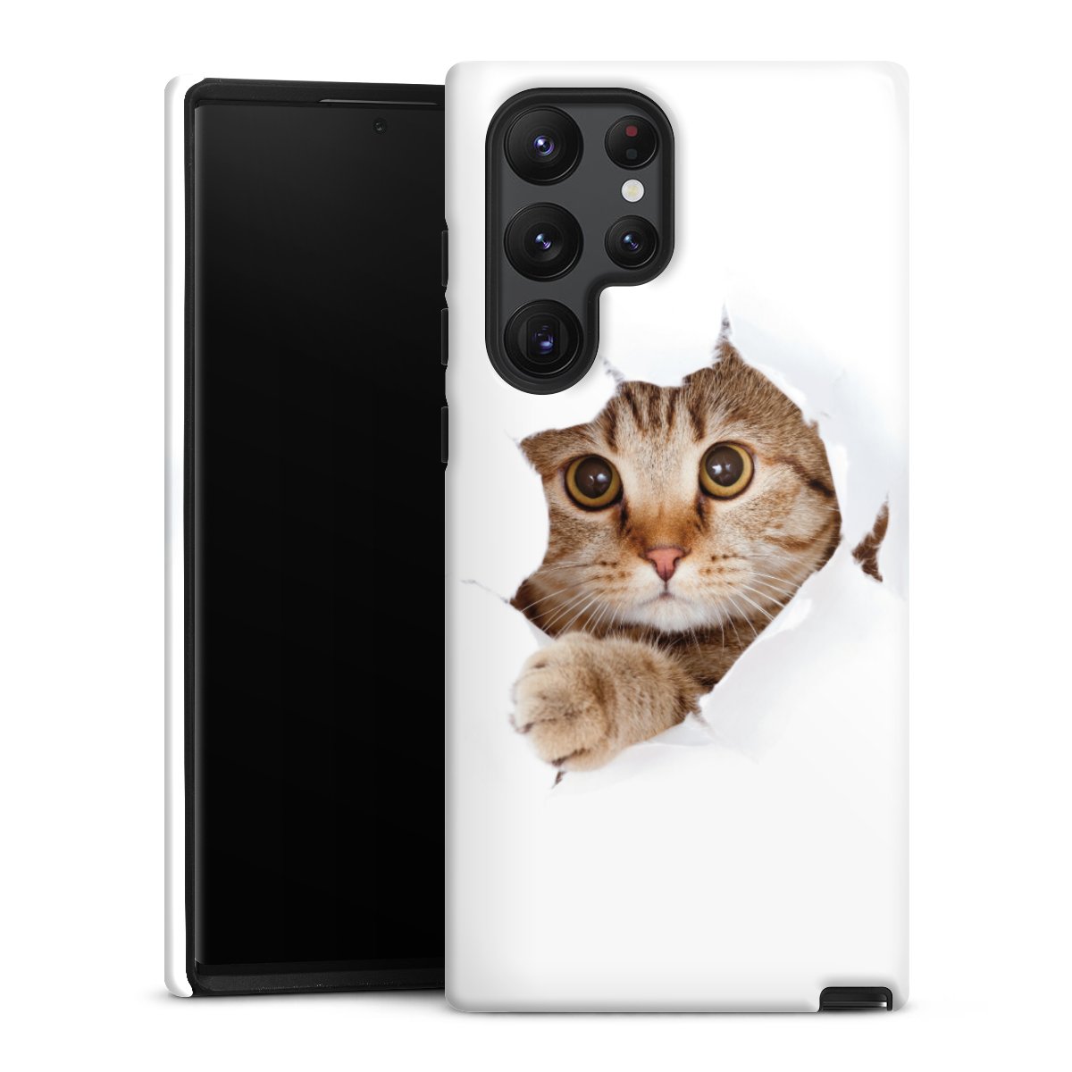 Coque renforcée