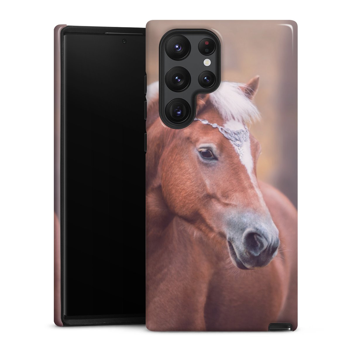 Coque renforcée