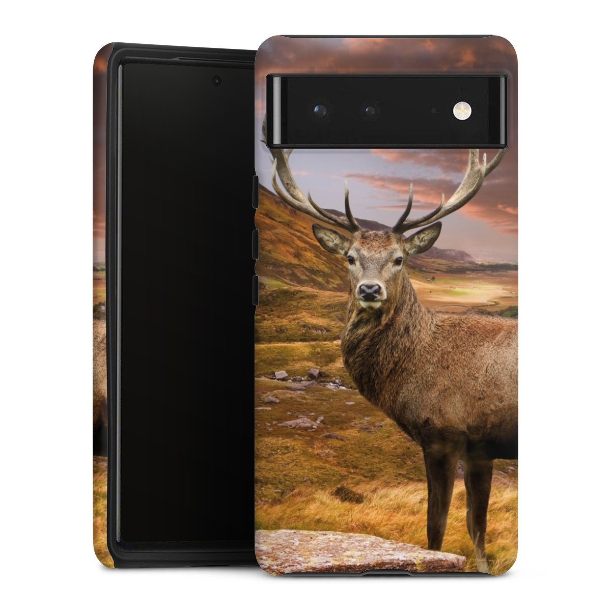Cover rinforzata