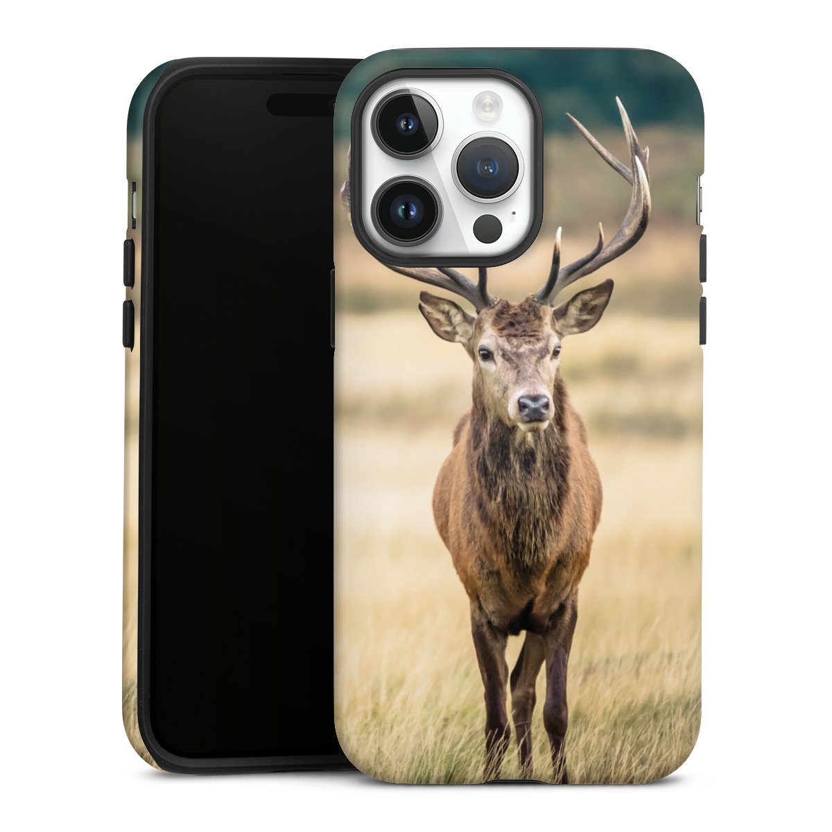 Coque renforcée
