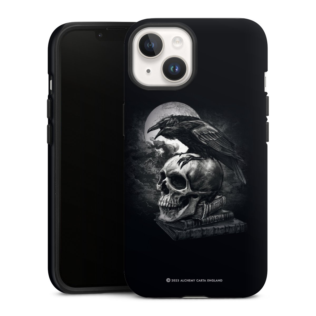 Poe's Raven
