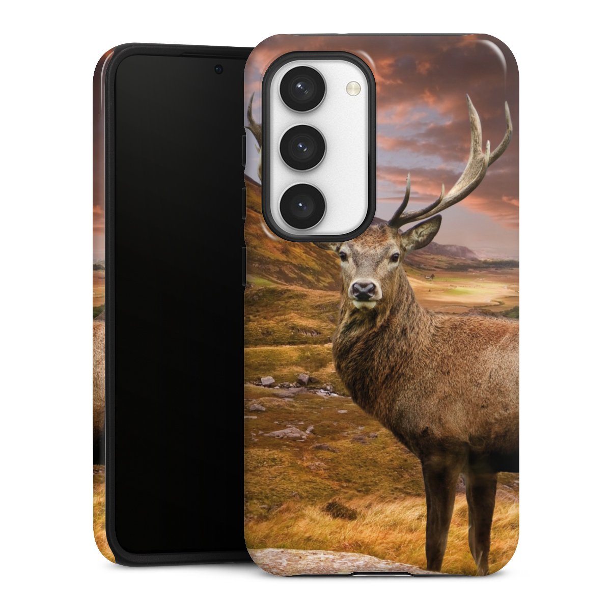 Coque renforcée
