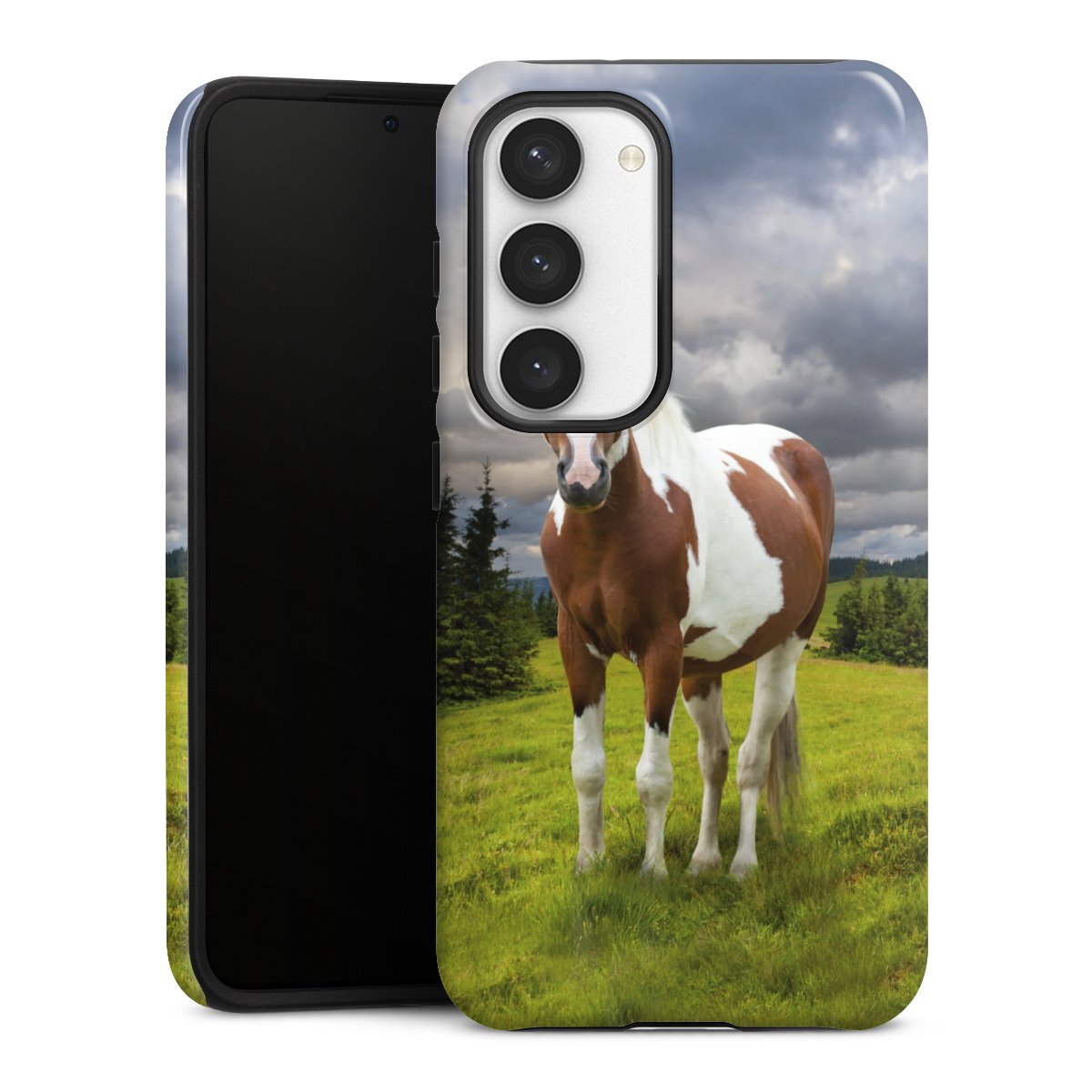 Coque renforcée